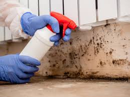 Best Basement Mold Removal  in Oregon, OH